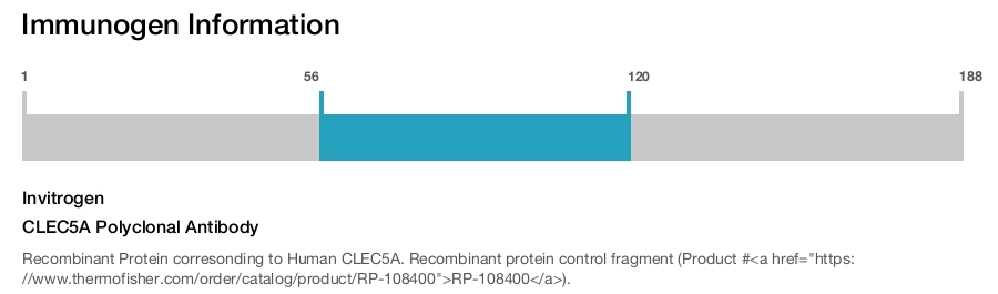 CLEC5A Polyclonal Antibody