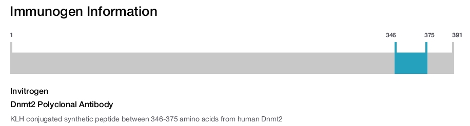 Dnmt2 Polyclonal Antibody