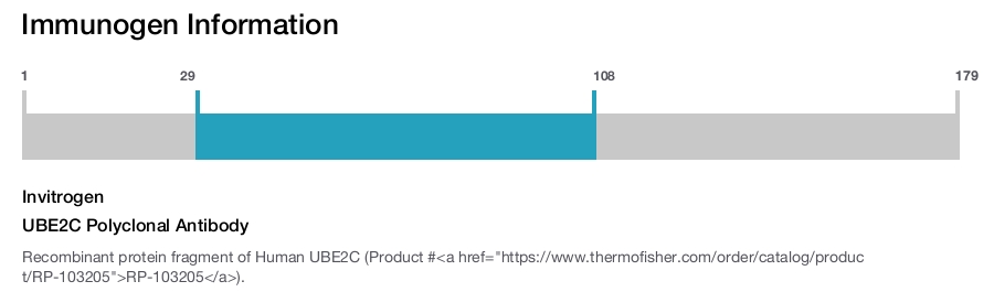 UBE2C Polyclonal Antibody