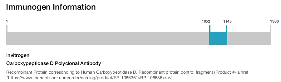 Carboxypeptidase D Polyclonal Antibody