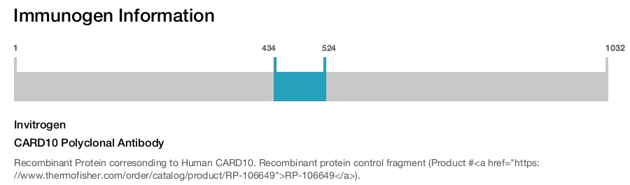CARD10 Polyclonal Antibody