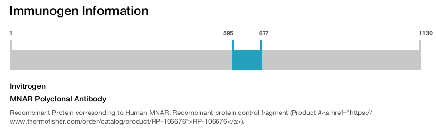 MNAR Polyclonal Antibody