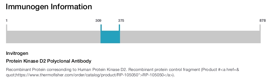 Protein Kinase D2 Polyclonal Antibody