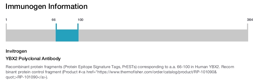 YBX2 Polyclonal Antibody