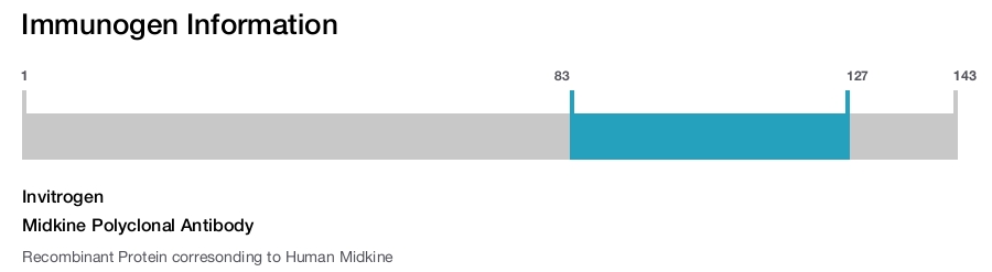 Midkine Polyclonal Antibody