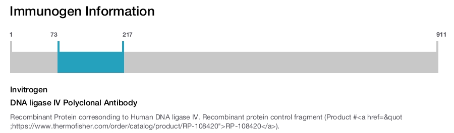 DNA ligase IV Polyclonal Antibody