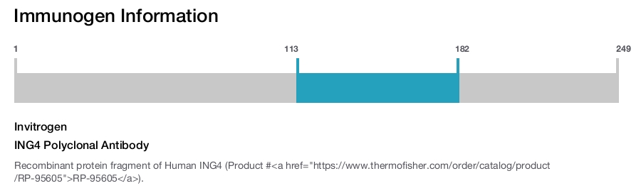 ING4 Polyclonal Antibody