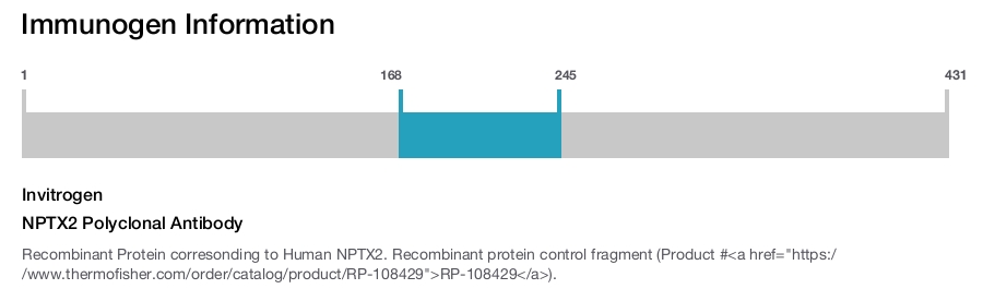 NPTX2 Polyclonal Antibody