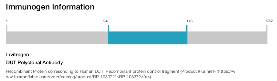 DUT Polyclonal Antibody