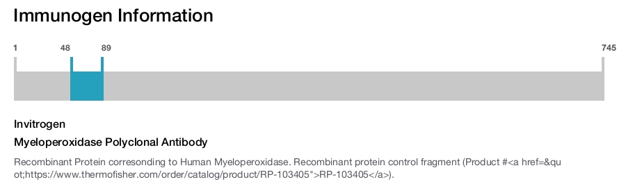 Myeloperoxidase Polyclonal Antibody