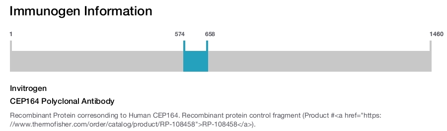 CEP164 Polyclonal Antibody