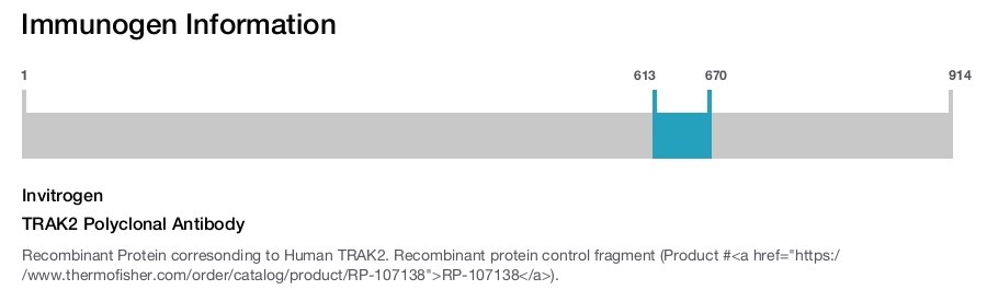 TRAK2 Polyclonal Antibody