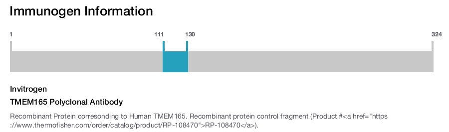 TMEM165 Polyclonal Antibody