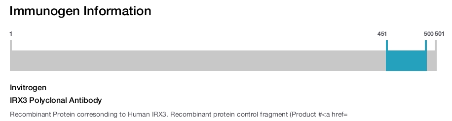 IRX3 Polyclonal Antibody