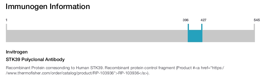 STK39 Polyclonal Antibody