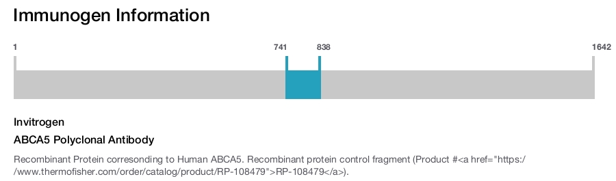 ABCA5 Polyclonal Antibody
