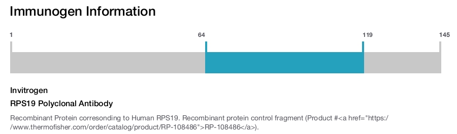 RPS19 Polyclonal Antibody
