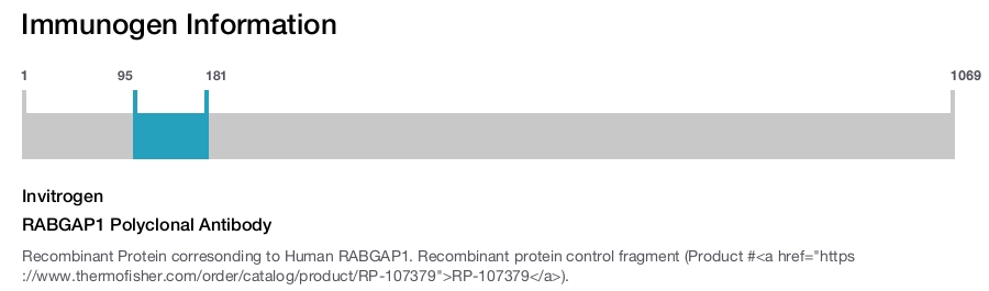 RABGAP1 Polyclonal Antibody