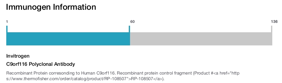 C9orf116 Polyclonal Antibody