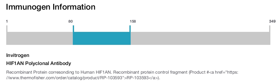 HIF1AN Polyclonal Antibody