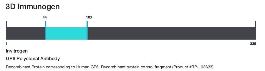 GP6 Polyclonal Antibody