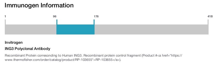 ING3 Polyclonal Antibody