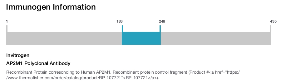 AP2M1 Polyclonal Antibody