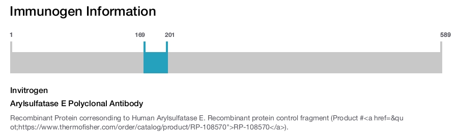 Arylsulfatase E Polyclonal Antibody