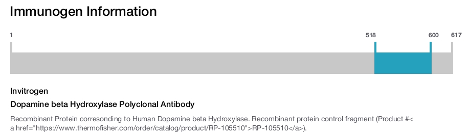 Dopamine beta Hydroxylase Polyclonal Antibody