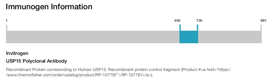 USP15 Polyclonal Antibody
