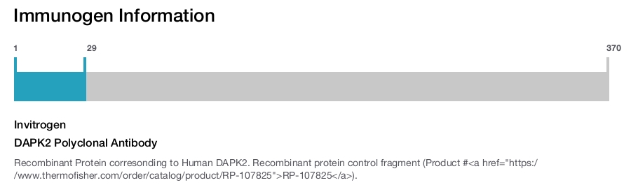 DAPK2 Polyclonal Antibody