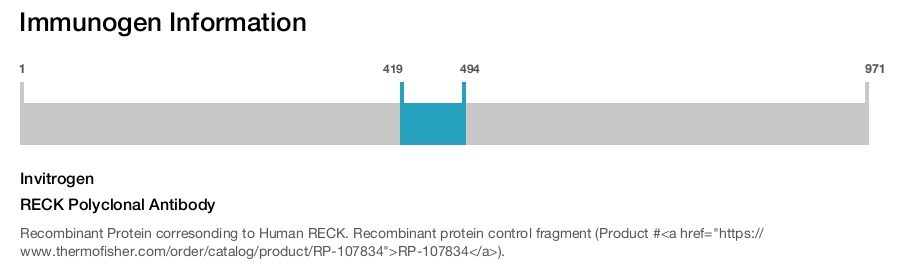 RECK Polyclonal Antibody