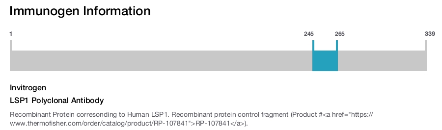LSP1 Polyclonal Antibody