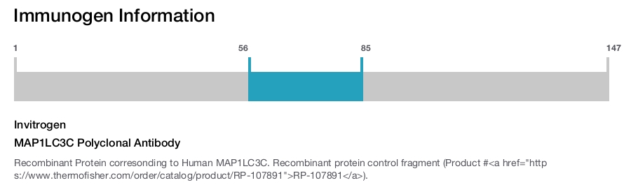 MAP1LC3C Polyclonal Antibody