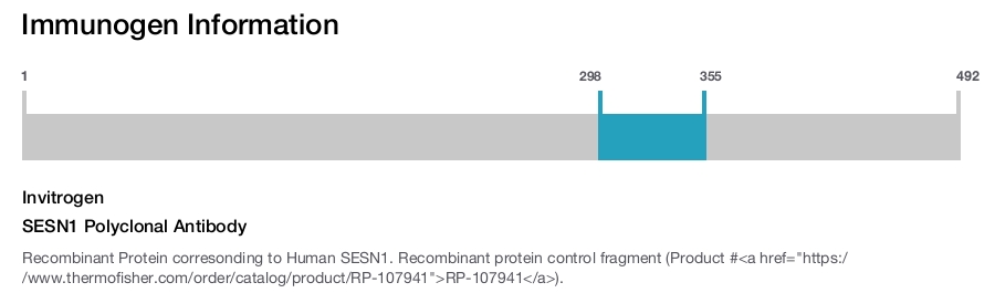 SESN1 Polyclonal Antibody