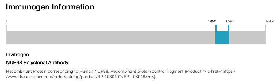 NUP98 Polyclonal Antibody