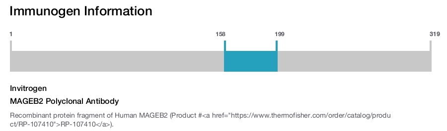 MAGEB2 Polyclonal Antibody