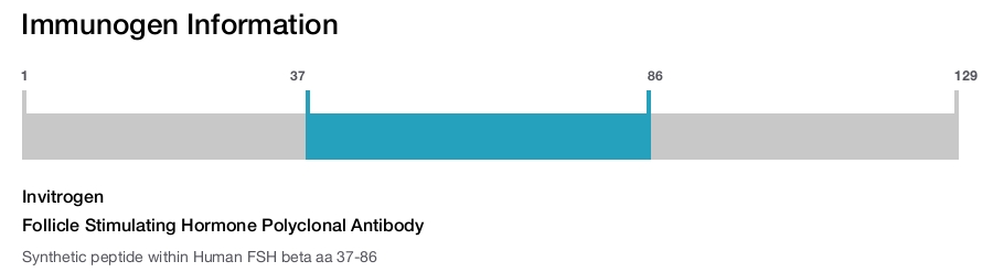 Follicle Stimulating Hormone Polyclonal Antibody