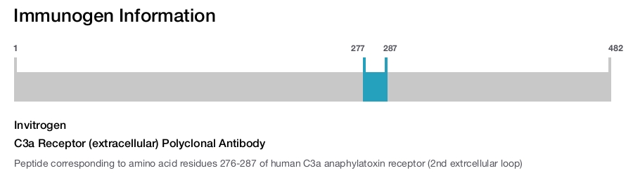 C3a Receptor (extracellular) Polyclonal Antibody