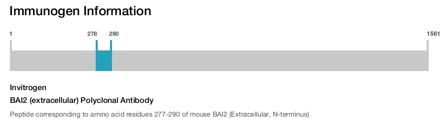 BAI2 (extracellular) Polyclonal Antibody