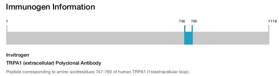 TRPA1 (extracellular) Polyclonal Antibody