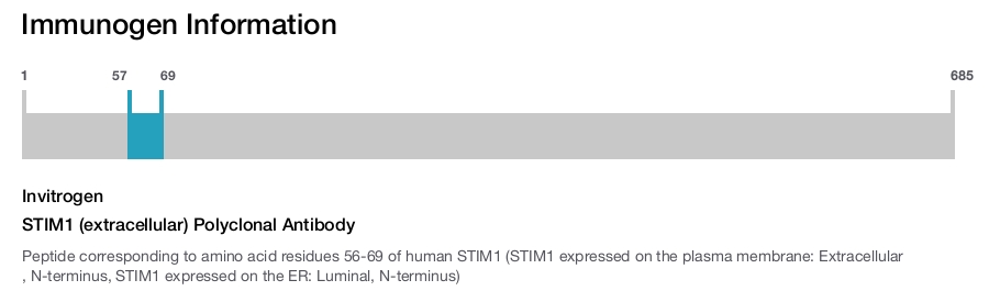 STIM1 (extracellular) Polyclonal Antibody