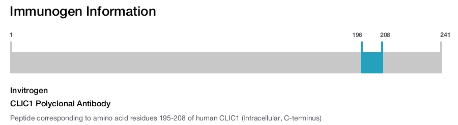 CLIC1 Polyclonal Antibody