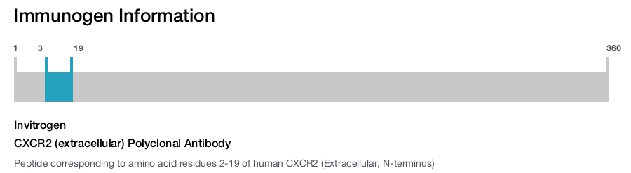 CXCR2 (extracellular) Polyclonal Antibody
