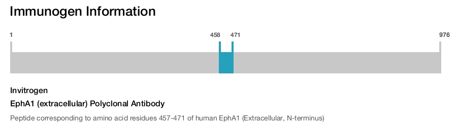 EphA1 (extracellular) Polyclonal Antibody