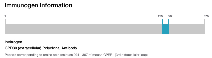 GPR30 (extracellular) Polyclonal Antibody