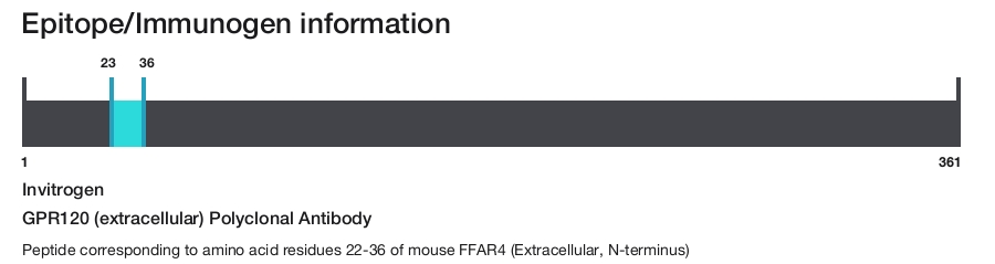 GPR120 (extracellular) Polyclonal Antibody
