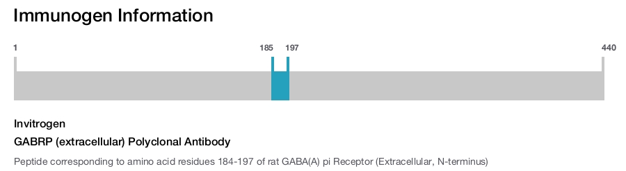GABRP (extracellular) Polyclonal Antibody