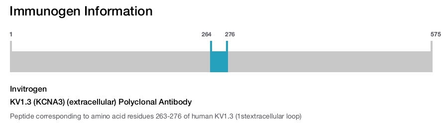 KV1.3 (KCNA3) (extracellular) Polyclonal Antibody
