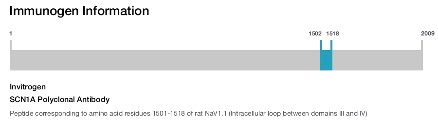 SCN1A Polyclonal Antibody